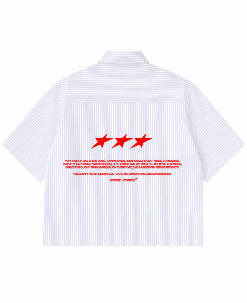 Blue Striped Oxford Boxy Shirt Back Design
