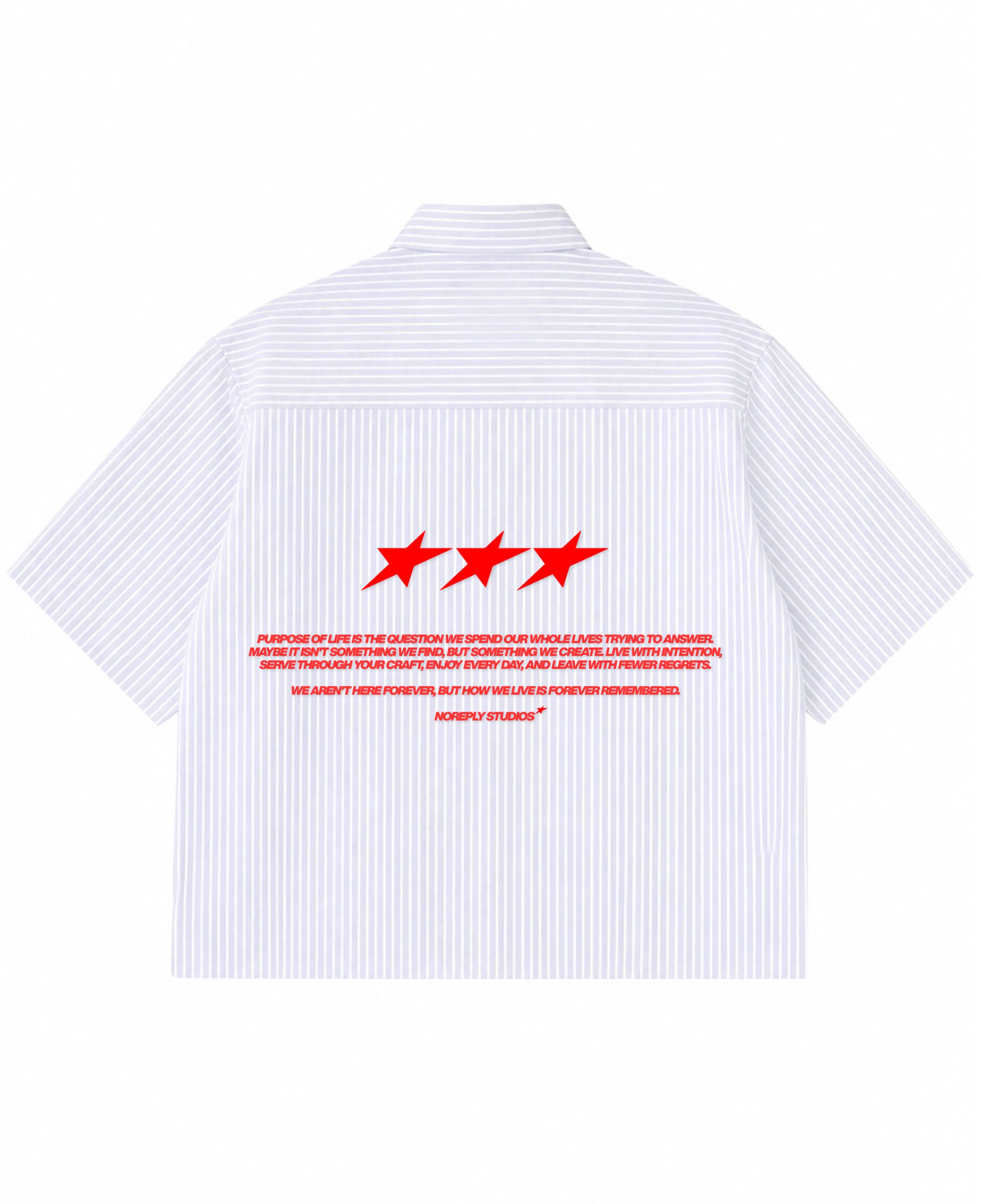 Blue Striped Oxford Boxy Shirt Back Design